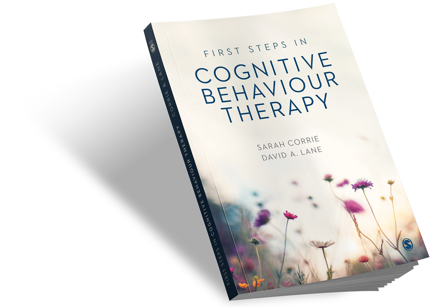 inspiring transformation cognitive behaviour therapy book cover image